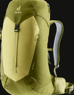 AC Lite 24 Linden Cactus