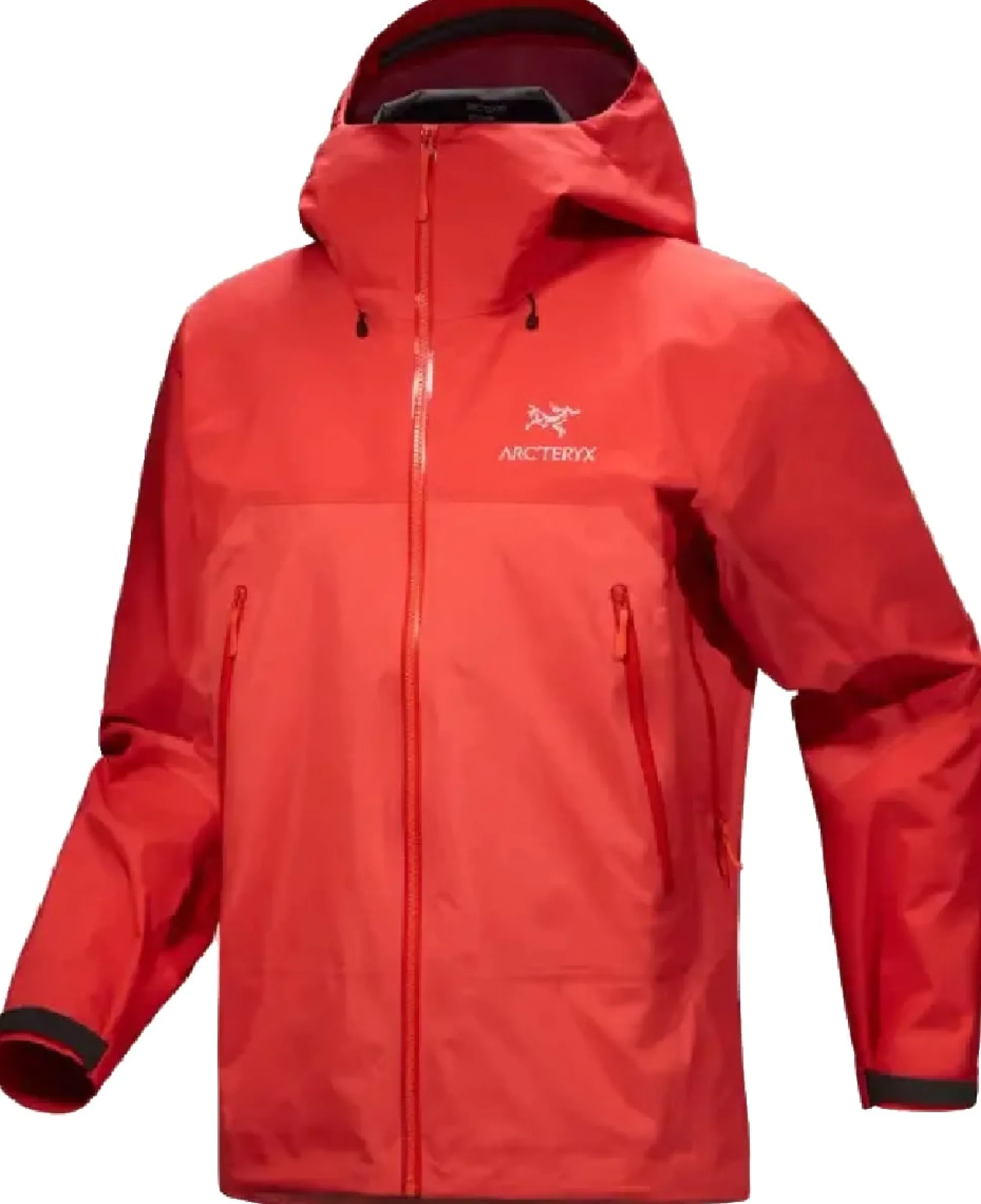 Beta AR Jacket Stormhood Dynasty