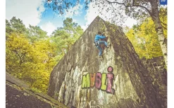 Dickes B Kletter- und Boulderführer