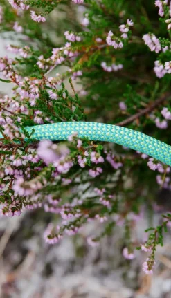 Eagle Lite Eco Dry 9,5mm Bright Green