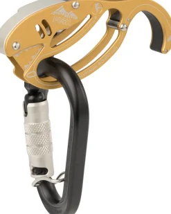 Gold Fish Autotuber Set