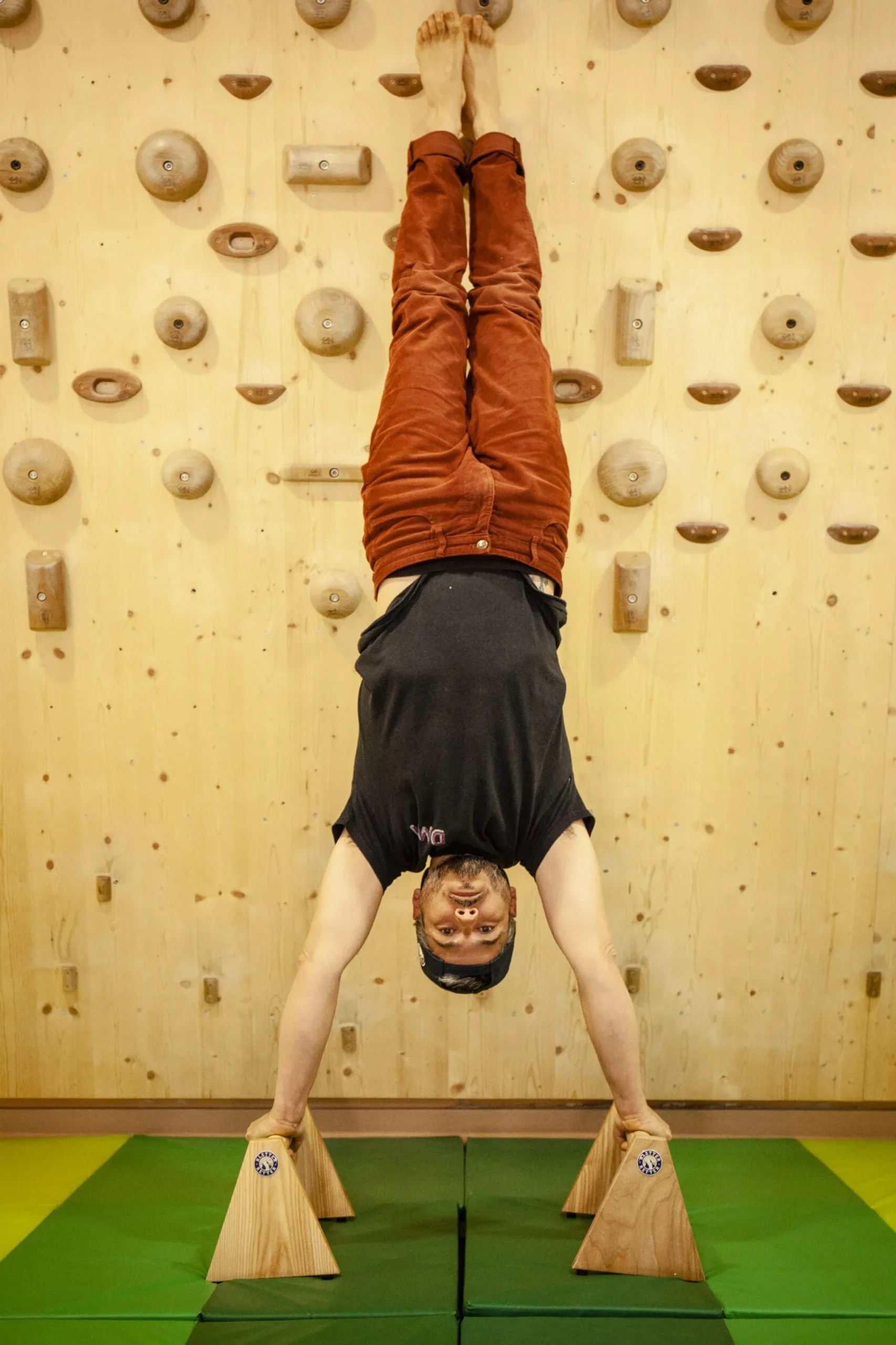 Holz Parallettes (Paar)