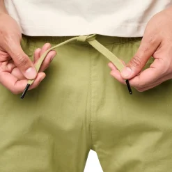 Notion Pant Cedarwood Green