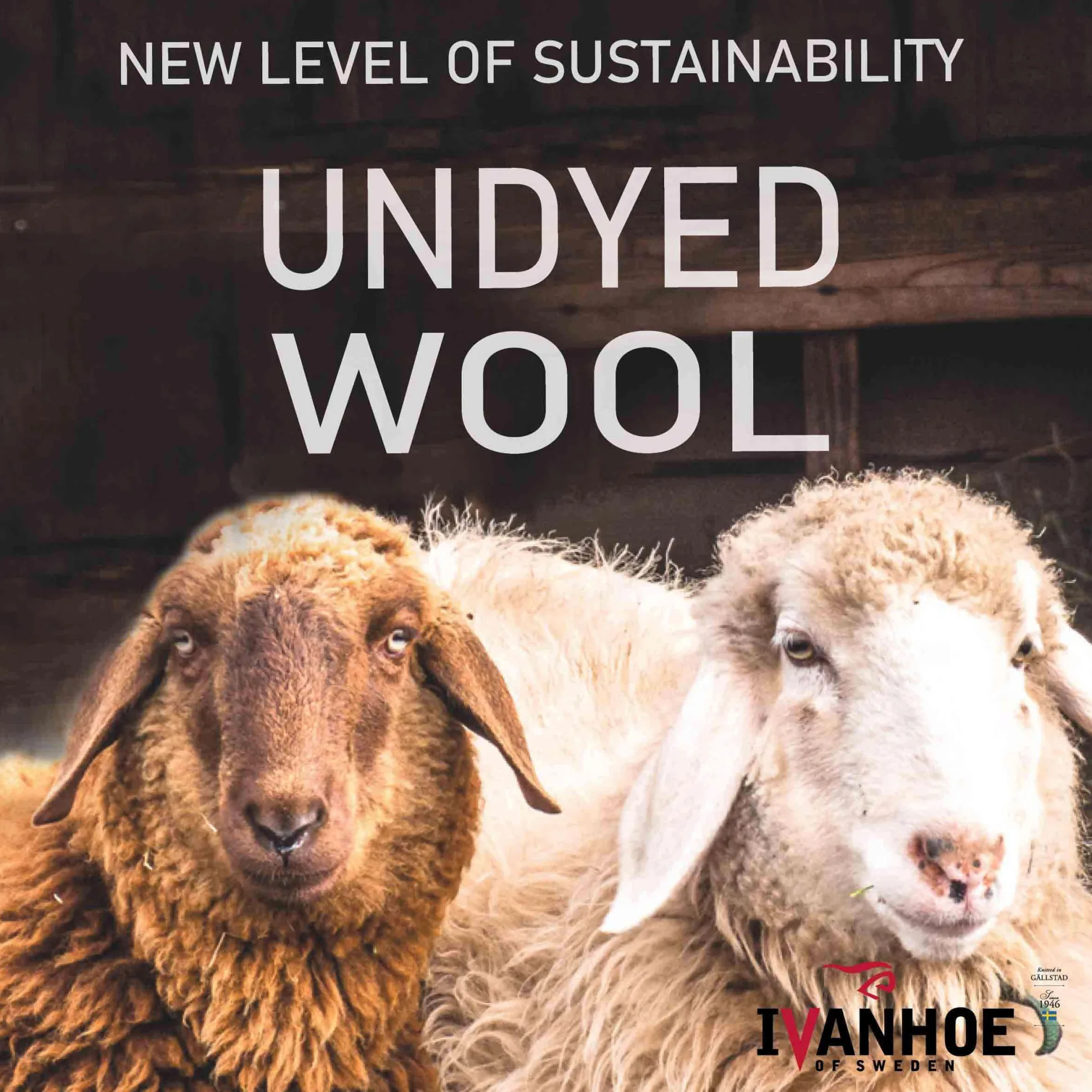 Pullover NLS Petal Birch