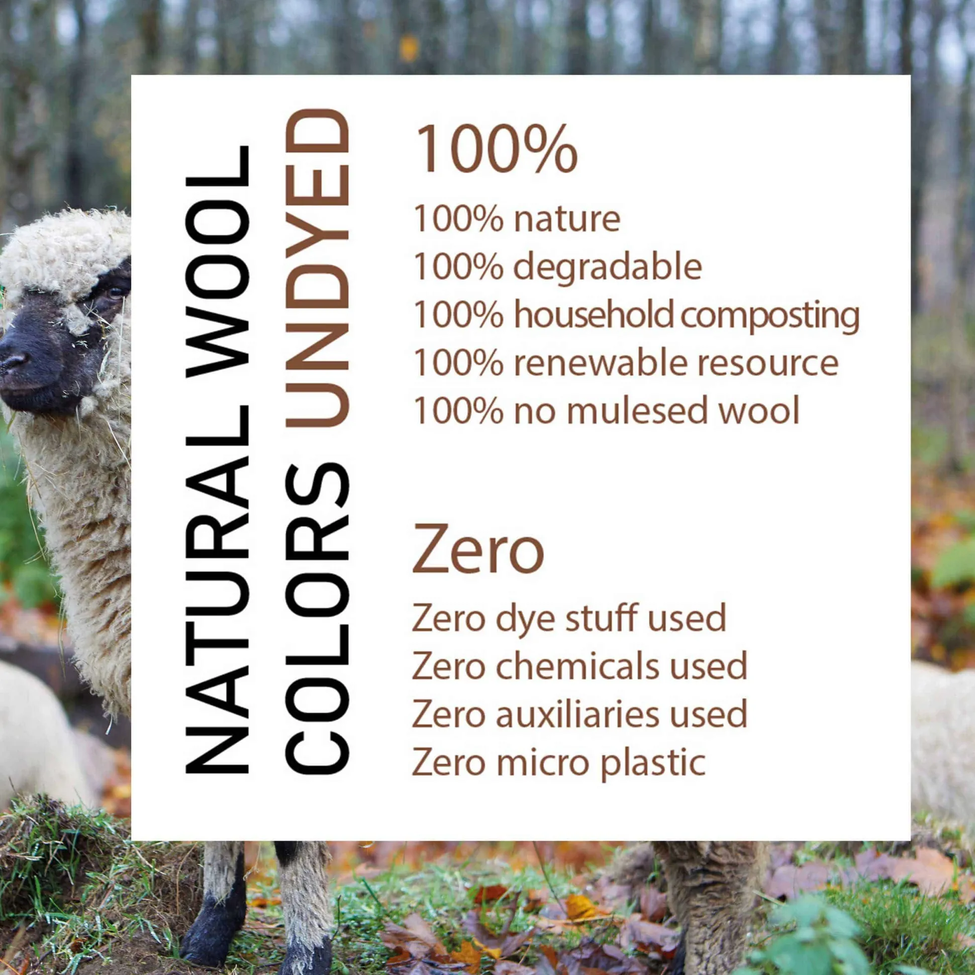 Pullover NLS Petal Birch