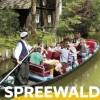 Reiseführer Spreewald