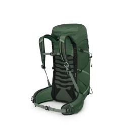 Talon 33 - Canopy / Pine Leaf