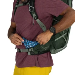 Talon 33 - Canopy / Pine Leaf