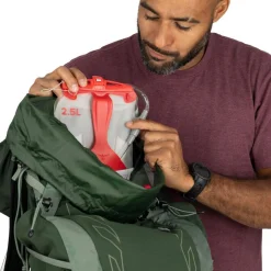 Talon 33 - Canopy / Pine Leaf