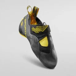 Theory - Yellow/Black