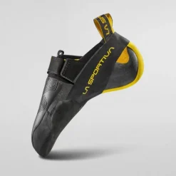 Theory - Yellow/Black