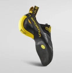 Theory - Yellow/Black